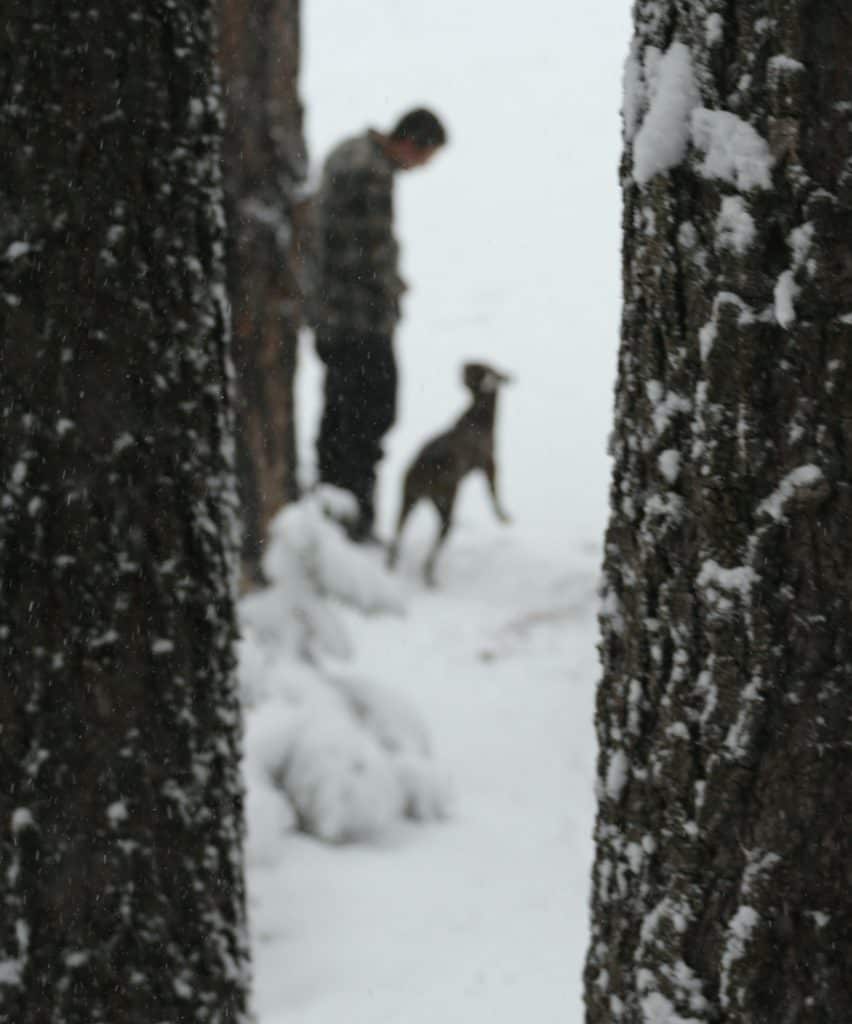 Man walking his dog during winter to reduce OCD symptoms.